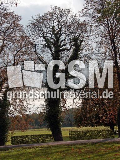 B-Herbststimmung 097.jpg